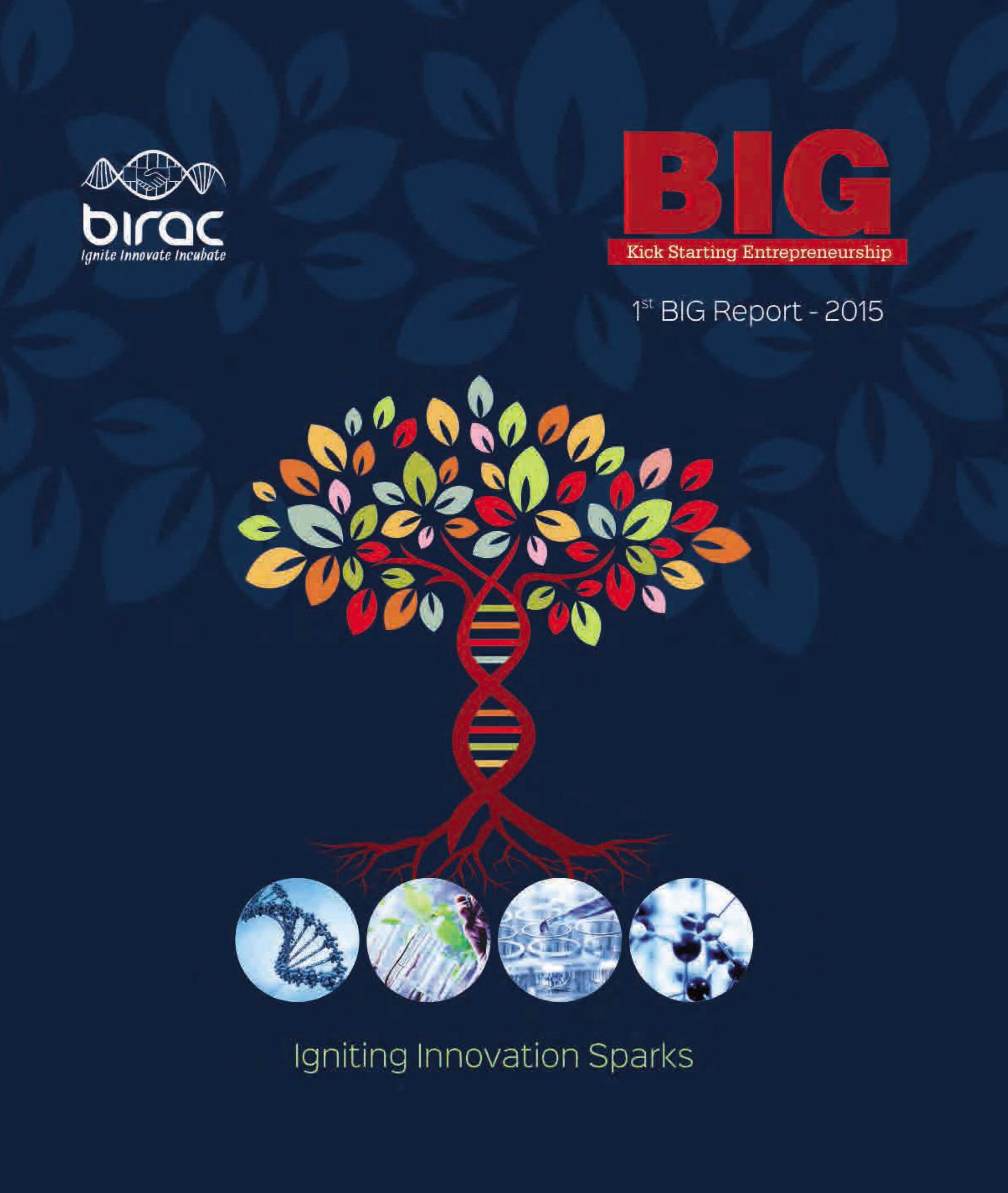 BIRAC4